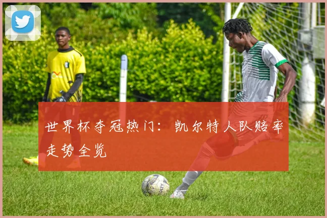世界杯夺冠热门:凯尔特人队赔率走势全览